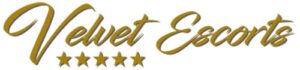 SEO para Escorts 11 Velvet Escorts Marbella logo